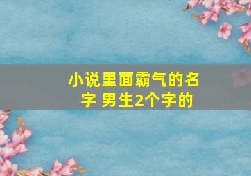 小说里面霸气的名字 男生2个字的